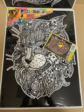Lote 8: dos láminas para colorear Color Velvet
