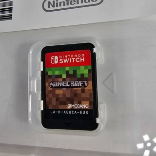 Minecraft Nintendo Switch