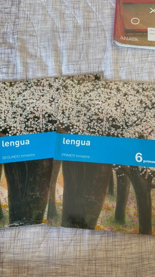 libros de lengua, nuevos de sexto de primaria