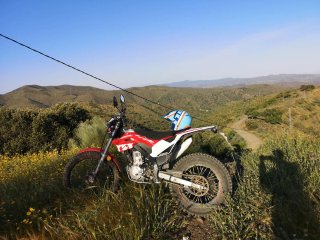Montesa Cota 4ride Trial