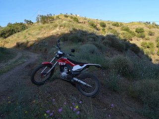 Montesa Cota 4ride Trial