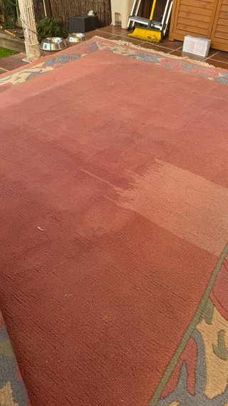 Alfombra Vintage Lana Multicolor Grande
