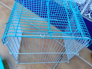 Jaula para hámster ruso azul y amarillo