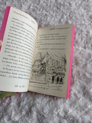 Libros secret kingdom