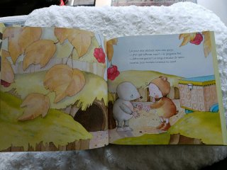 Libro infantil