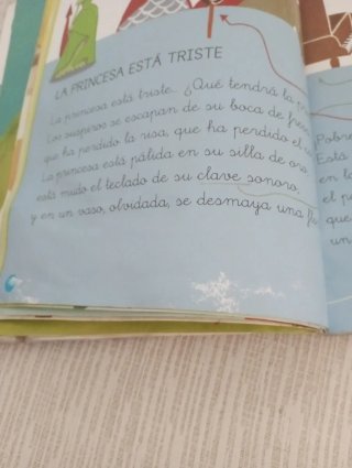 Libro lecturas 12 colores