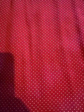Falda Mango roja lunares