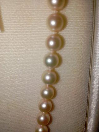 Collar Perlas Australianas Broche Oro 18 kilates