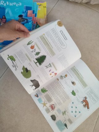 Ciencias de la Naturaleza 4° primaria Anaya