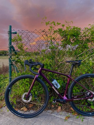 Bicicleta Gravel Basso Palta GRX Di2 Talla S
