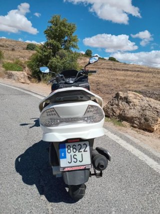 Goes Max 125cc Moped