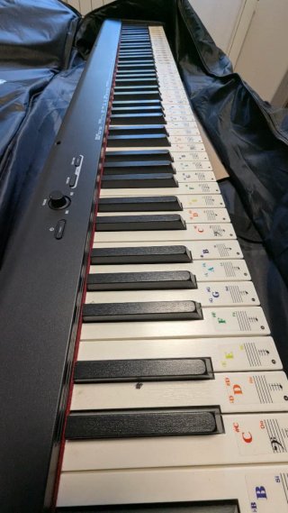 Piano Elettronico Casio CDP-S100