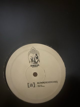 Lotto dischi in vinile house dj