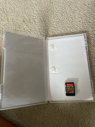 Minecraft Nintendo Switch