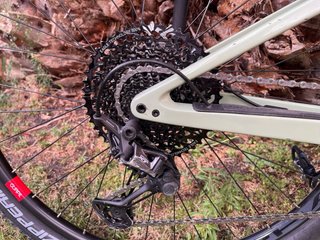 Orbea Oiz XT