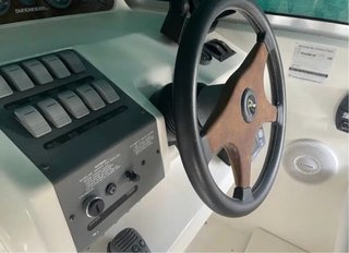 Sea Ray 250 Sundancer 1995 Eslora: 8,10 Z