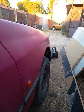 Aleta Ford sierra