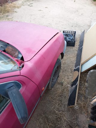 Aleta Ford sierra