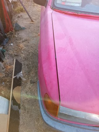 Aleta Ford sierra