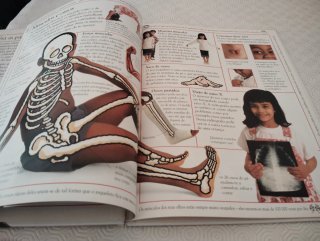 Livro O Meu Corpo Por Dentro E Por Fora Usado