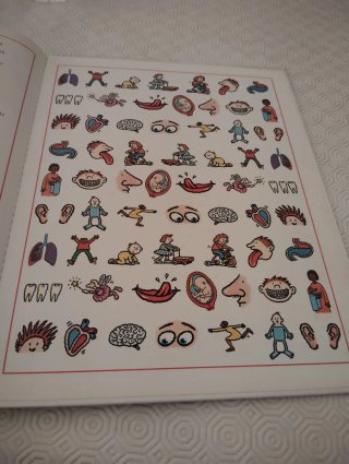 Livro O Meu Corpo Por Dentro E Por Fora Usado