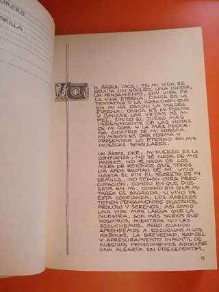 Las plantas tintóreas