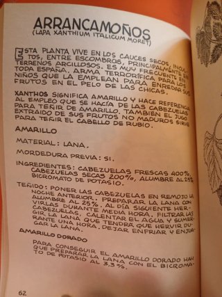 Las plantas tintóreas