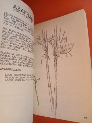 Las plantas tintóreas