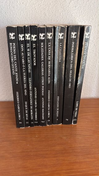 Lote literatura española