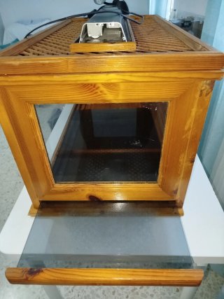 Terrario Rectangular Tortugas