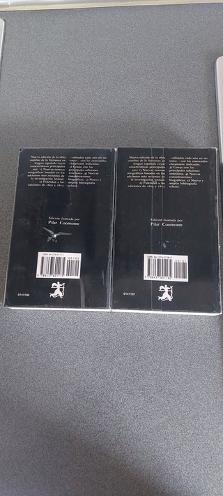 libro de don quijote
