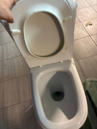 Inodoro/Vater Roca Dama Blanco