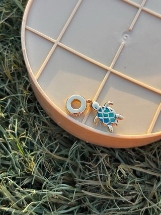 Charm tortuga azul dorado
