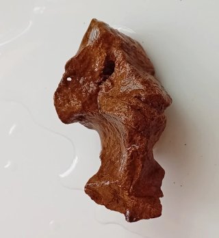 Roca Escultura Natural: Perfil Robin / Esfinge 39g