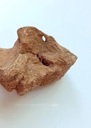 Roca Escultura Natural: Perfil Robin / Esfinge 39g