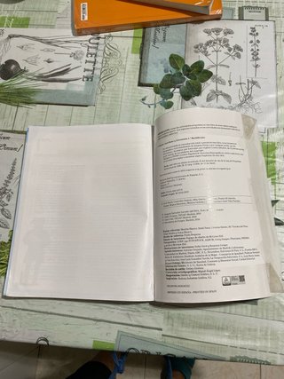 Lengua castellana y literatura, 1 Bachillerato