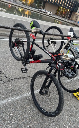 BMC Teamelite Carbono 29 XC
