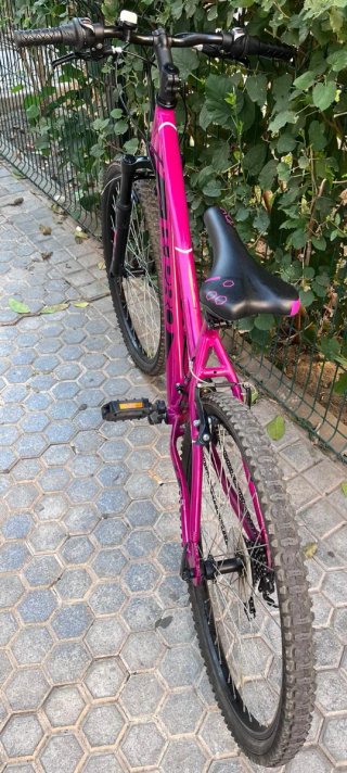 B-PRO M610 Lady 26 Rosa