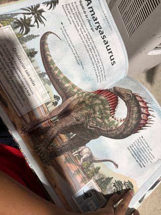 El Magnífico Libro de Los Dinosaurios