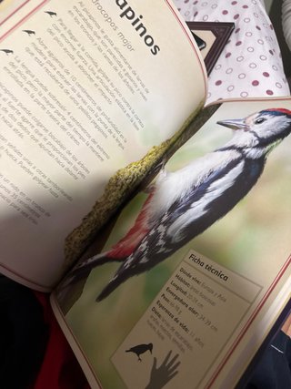 El majestuoso libro de las aves