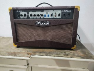 Amplificador Guitarra LEEM S25DSP 25W