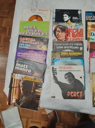 Lote de Discos de Vinilo Variados