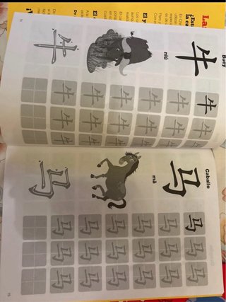 Kit educativo “Aprender chino es divertido”
