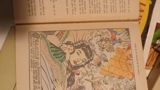Lote 11 libros Colección Historias Selección