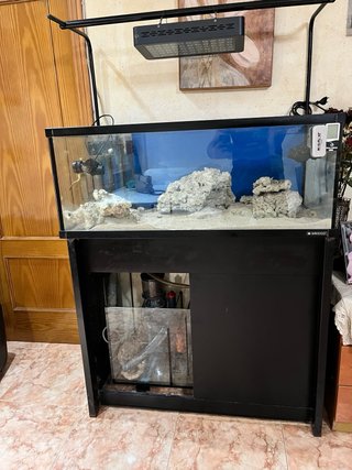 Acuario Sirocco