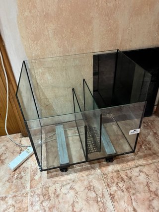Acuario Sirocco