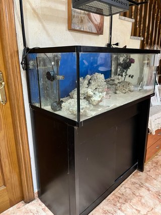 Acuario Sirocco