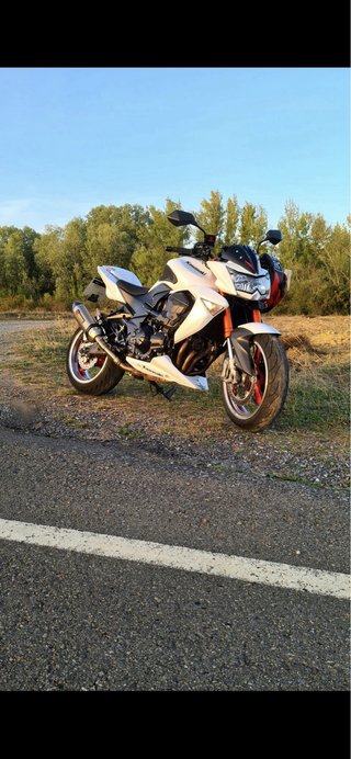 Kawasaki Z1000 2007 Naked 54.000 km
