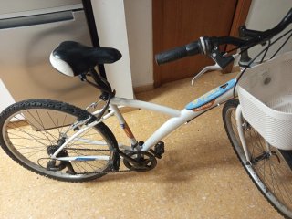 Bicicleta blanca con cesta