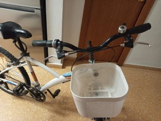 Bicicleta blanca con cesta